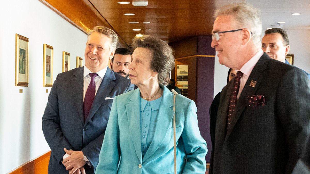 Красивий образ принцеси Анни Красивий образ принцеси Анни