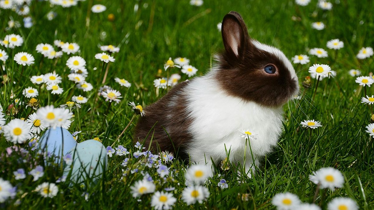 Поздравления с Чистым четвергом в прозе и стихах Поздравления с Чистым четвергом в прозе и стихах