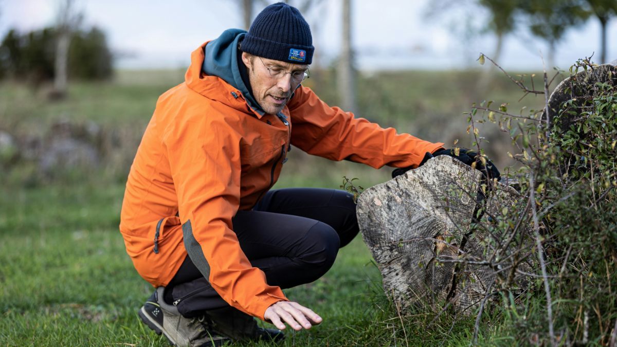 День геолога 2024 День геолога 2024