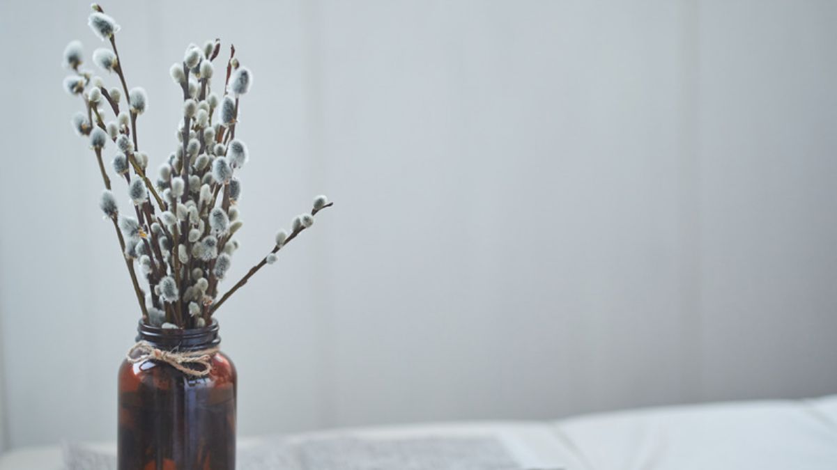 Что делать со старой освященной вербой Что делать со старой освященной вербой