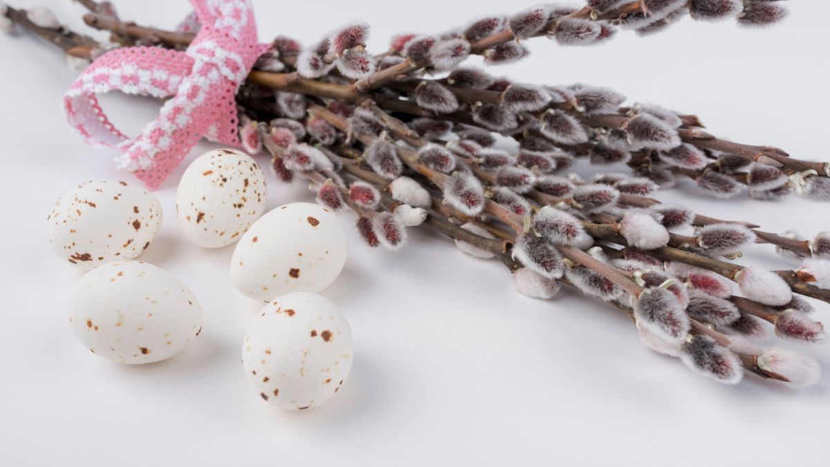 Як святити вербу Як святити вербу