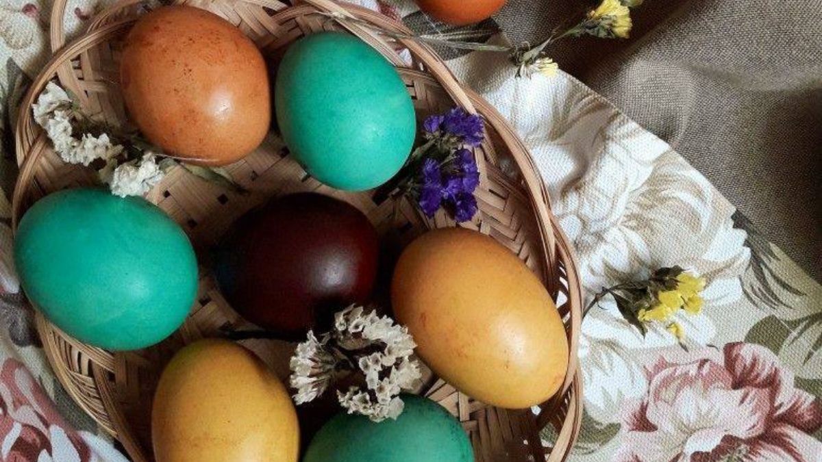 Светлый вторник 2024 Светлый вторник 2024