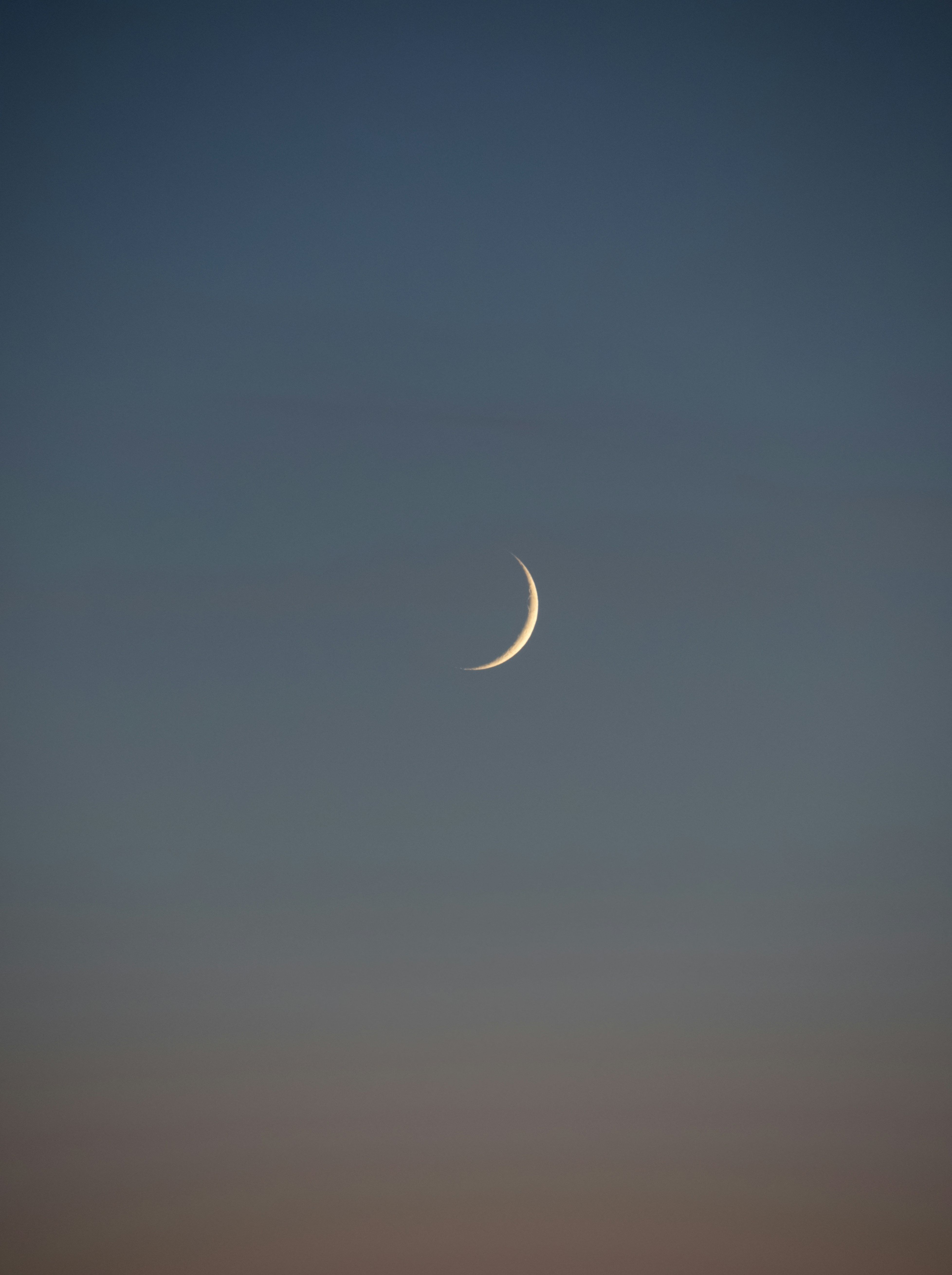 Молодик у Тельці Молодик у Тельці