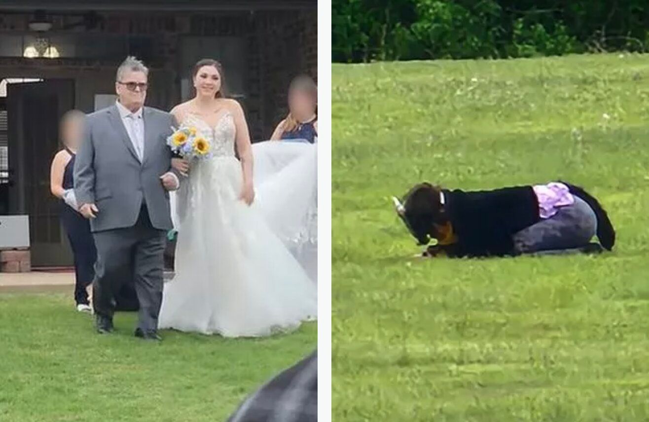 Жінка-кішка ледь не зірвала весілля - наречена обурена Жінка-кішка ледь не зірвала весілля - наречена обурена