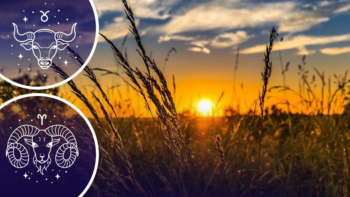 Гороскоп на завтра - хто буде радіти 15 травня Гороскоп на завтра - хто буде радіти 15 травня