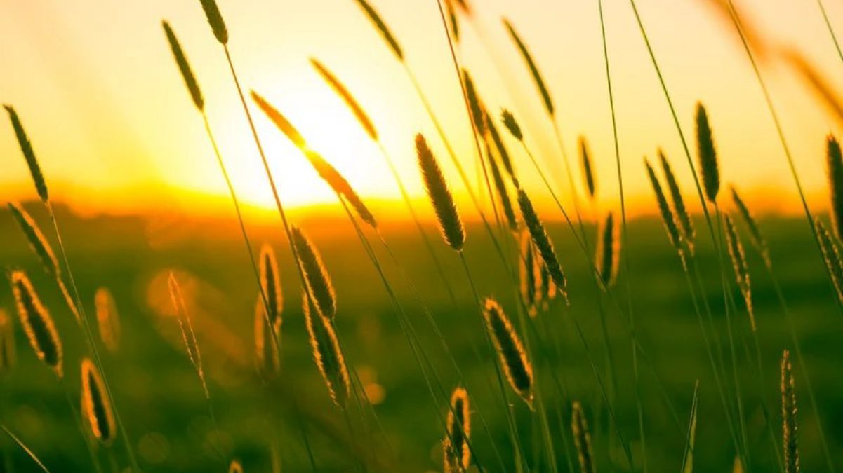 Найдовший день 2024 Найдовший день 2024