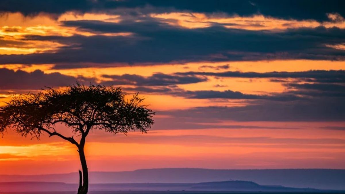 Гарного вечора Гарного вечора