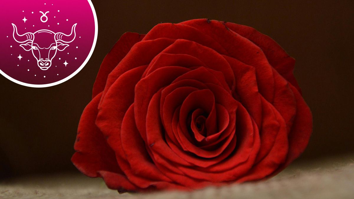 Хто найчастіше займається сексом Хто найчастіше займається сексом