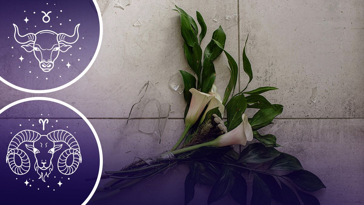 Гороскоп на найближчий час - кому варто остерігатись скандалів Гороскоп на найближчий час - кому варто остерігатись скандалів