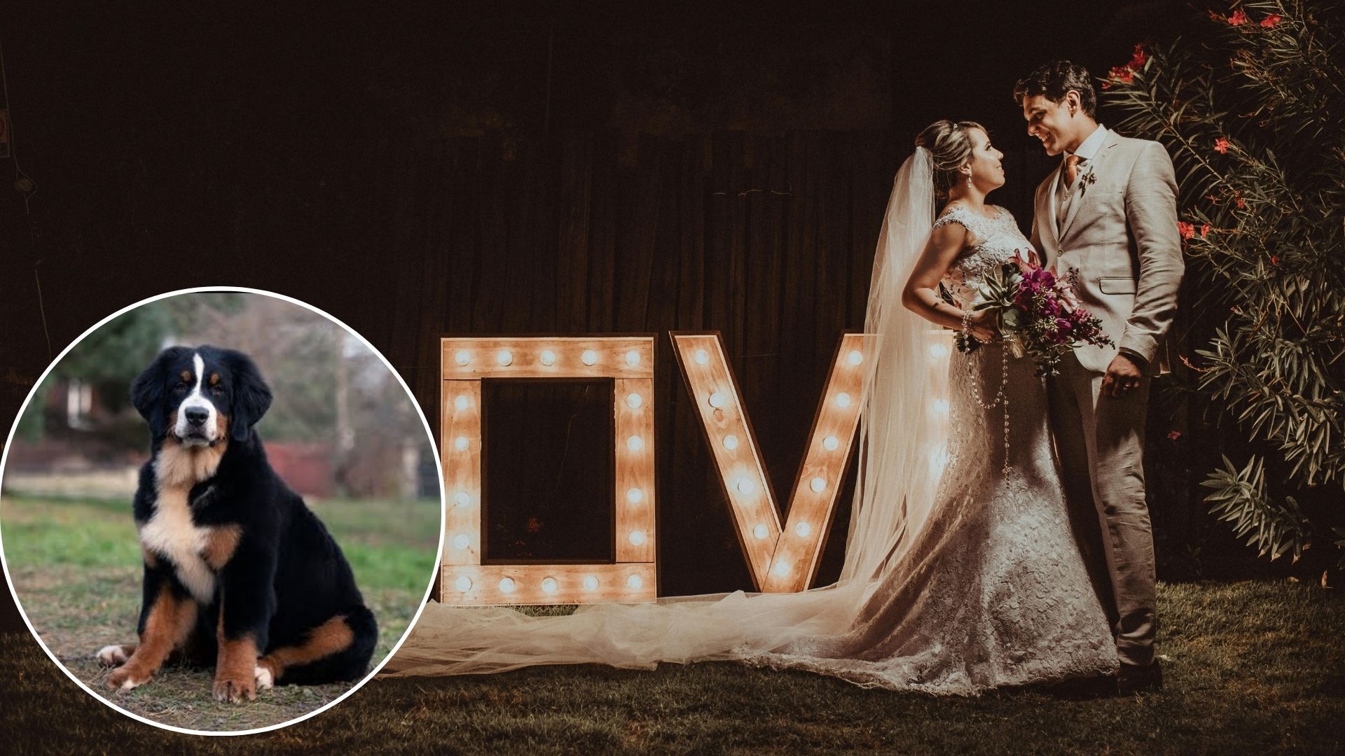 Жених не пригласил сестру на свадьбу, потому что она отказалась приходить без своего пса Жених не пригласил сестру на свадьбу, потому что она отказалась приходить без своего пса