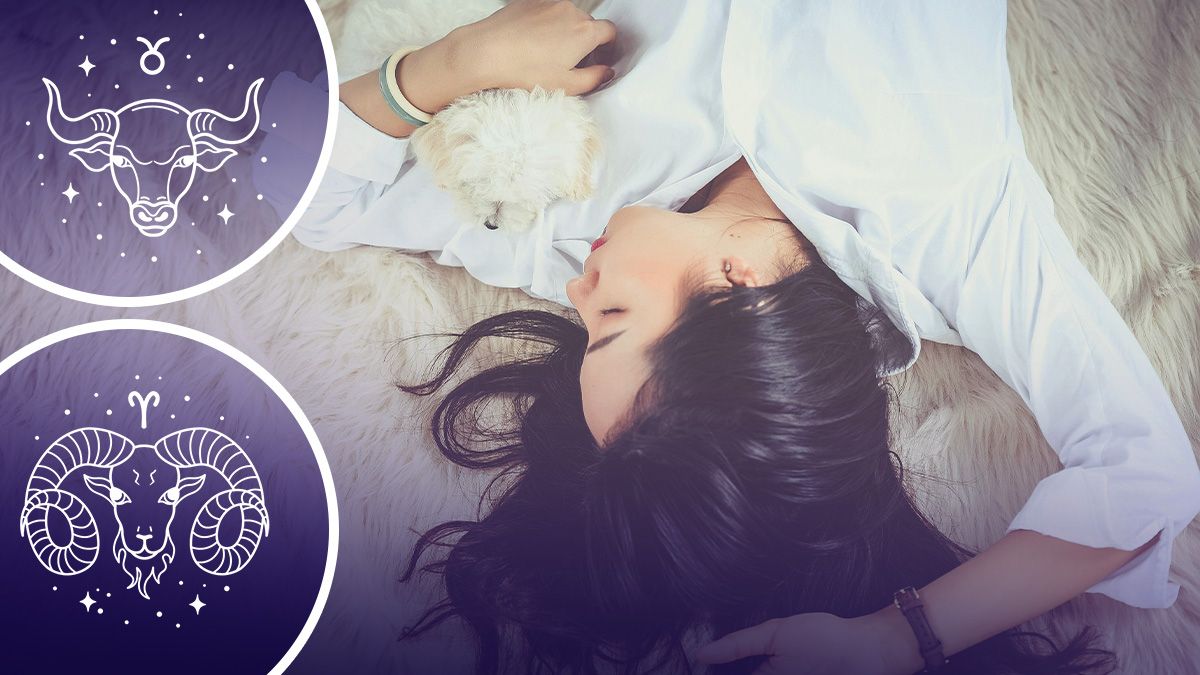 Хто любить багато спати Хто любить багато спати