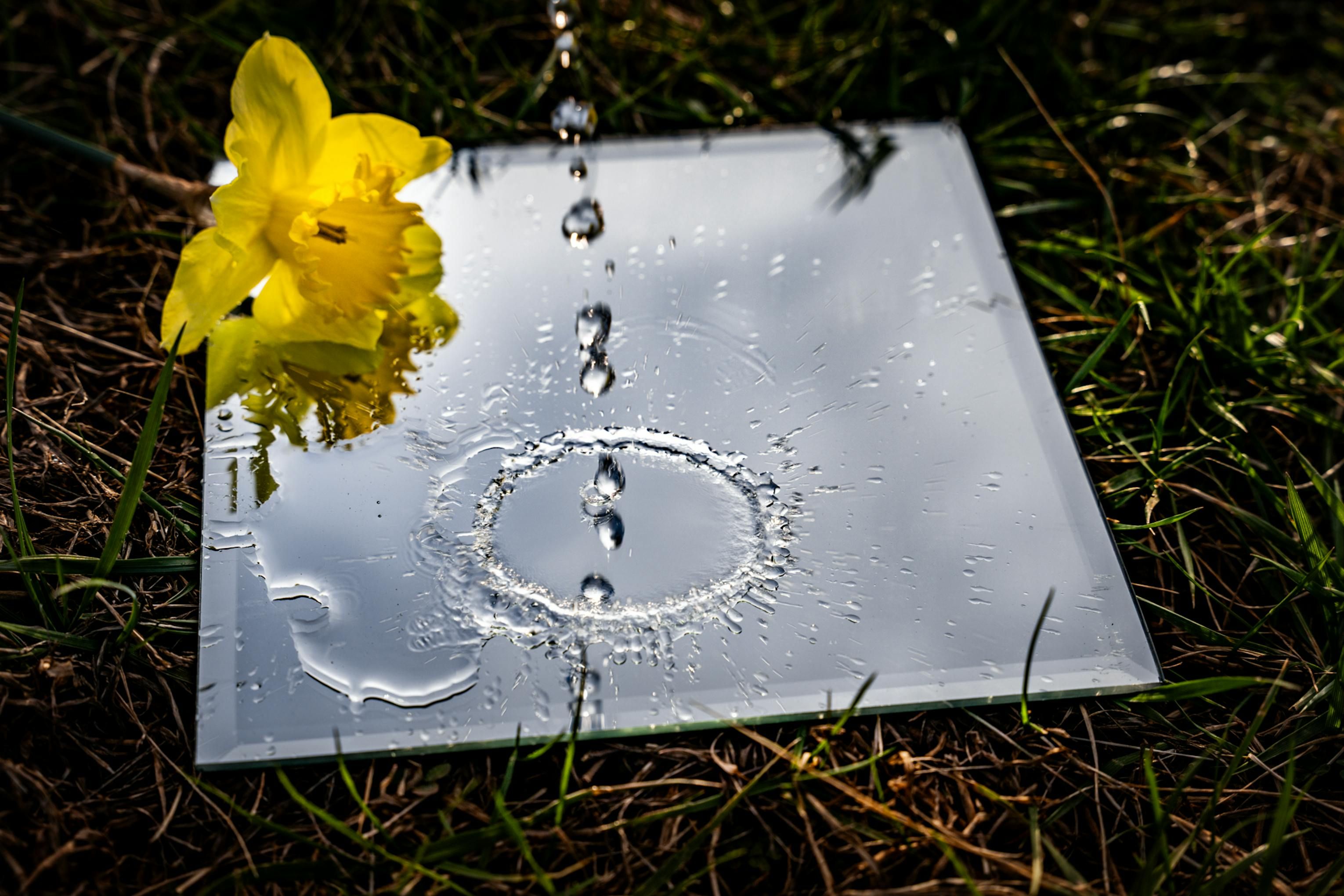 Гороскоп на найближчий час - хто може допустити фатальну помилку Гороскоп на найближчий час - хто може допустити фатальну помилку