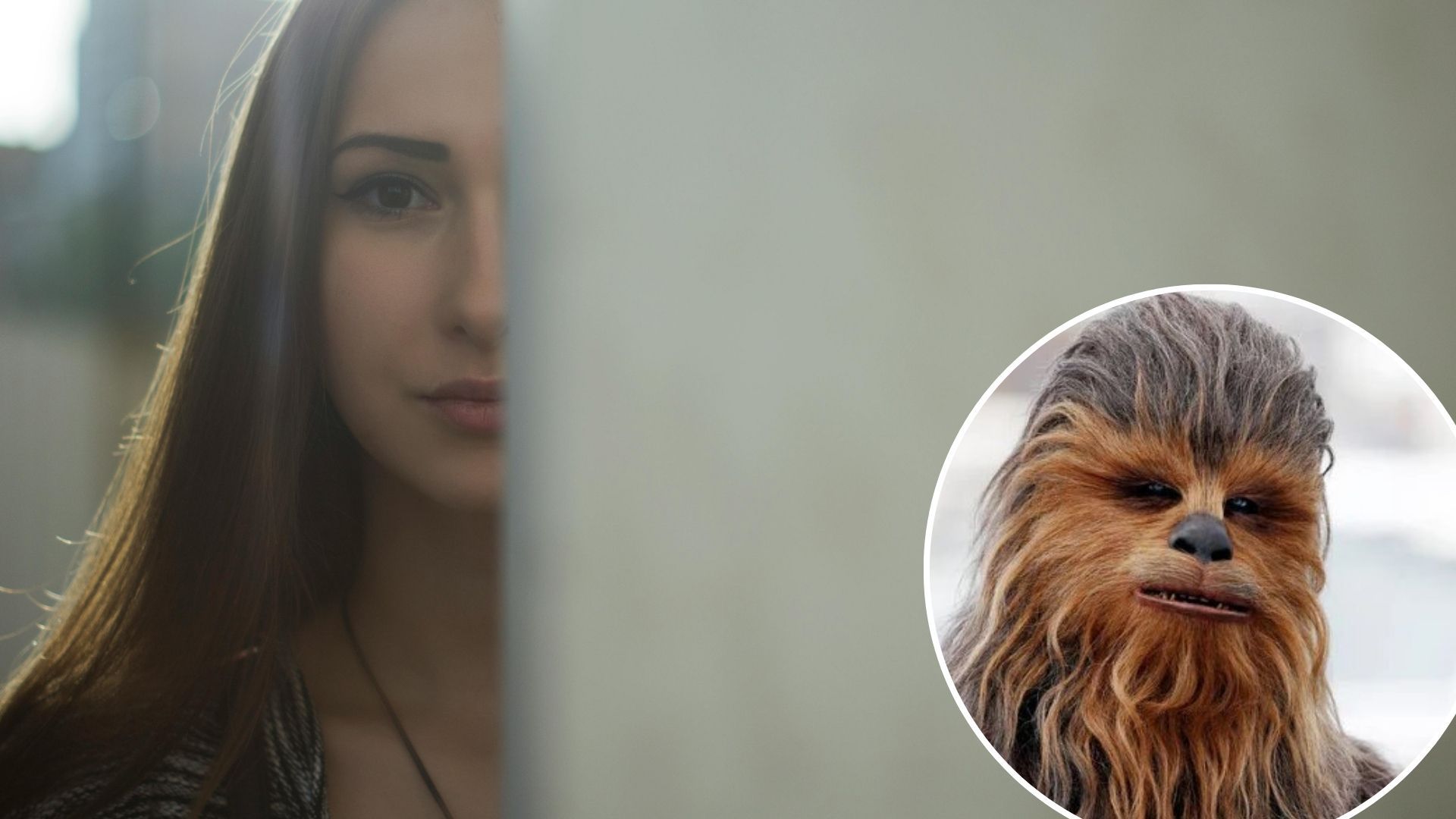 Мужчина развесил по городу плакаты с фото Чубакки и номером бывшей ради мести Мужчина развесил по городу плакаты с фото Чубакки и номером бывшей ради мести