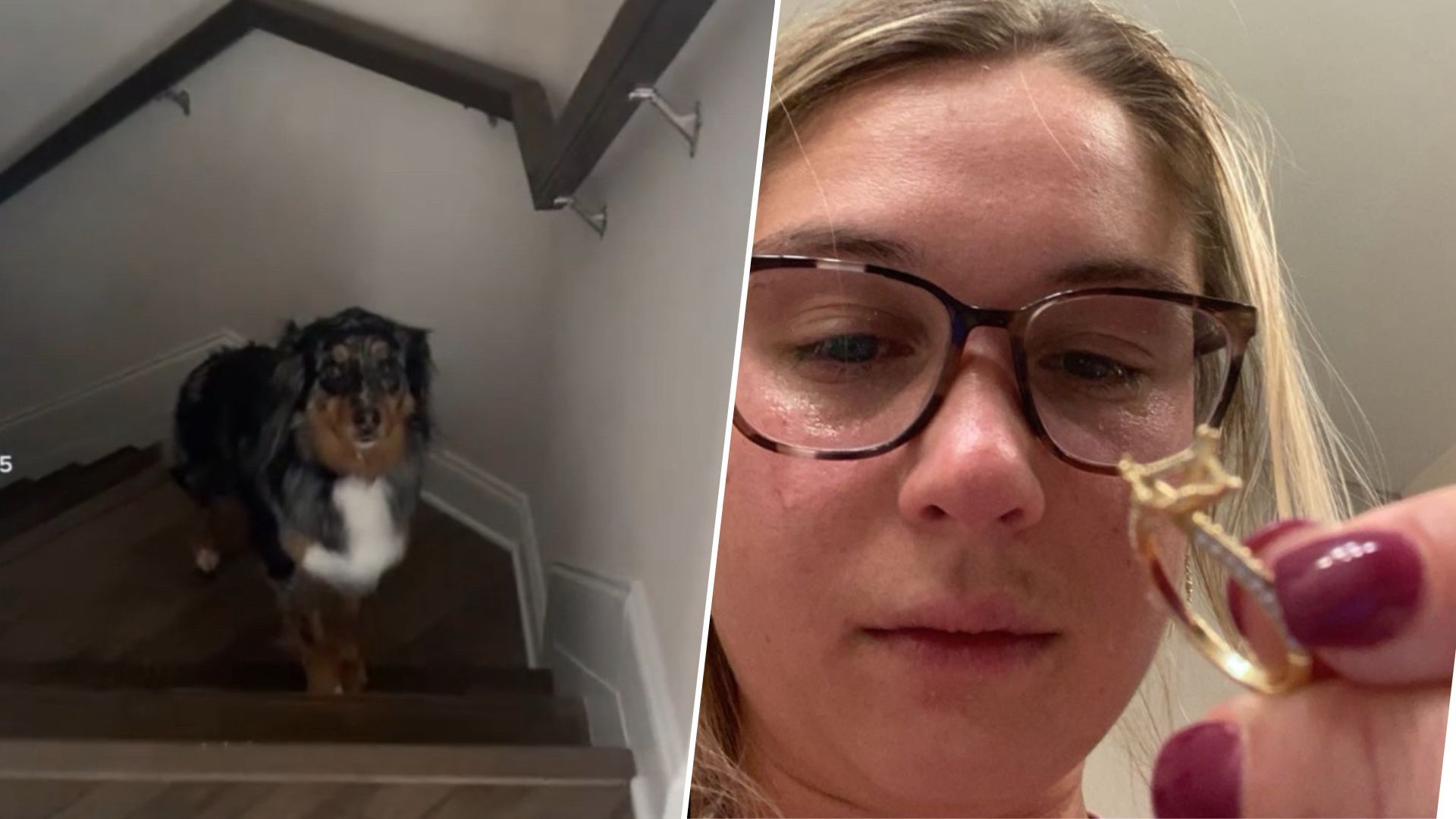 Собака съела бриллиантовое кольцо, подаренное на помолвку Собака съела бриллиантовое кольцо, подаренное на помолвку