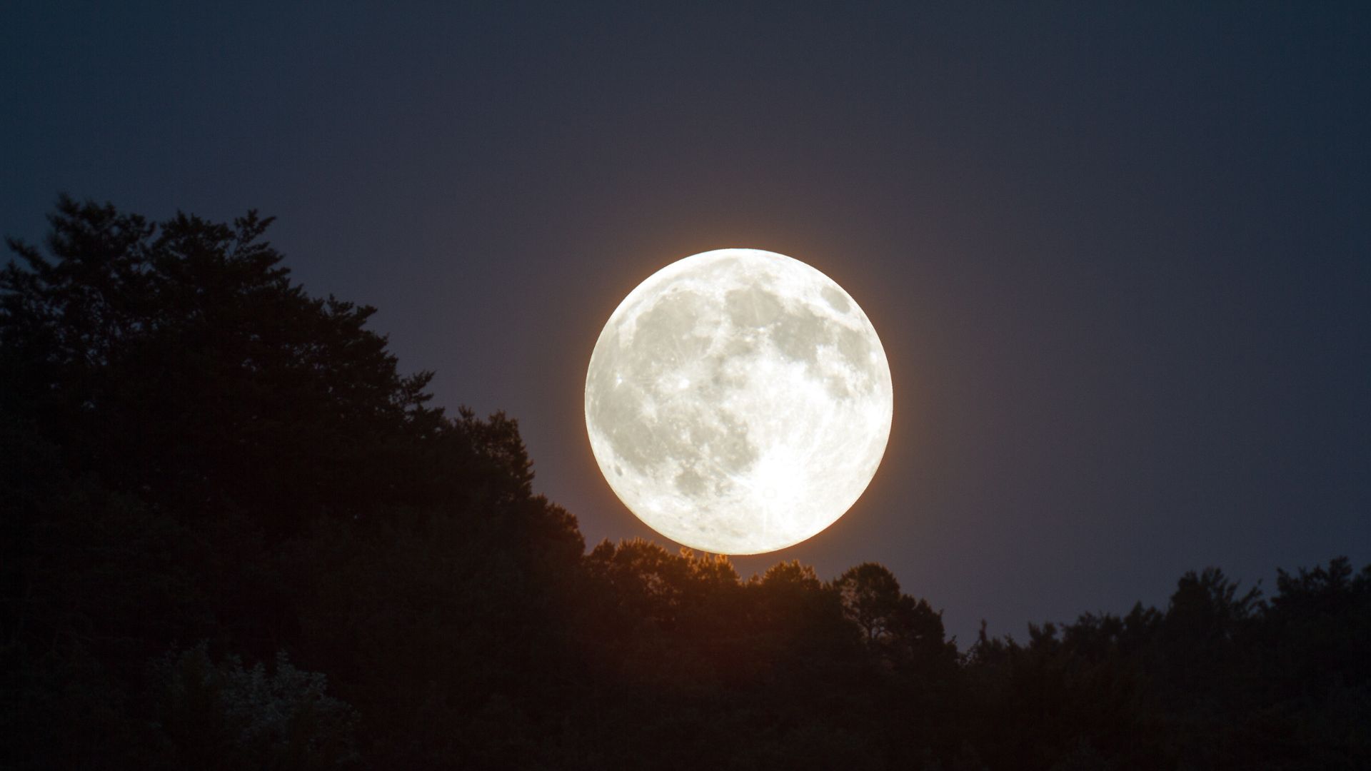 Суперполнота