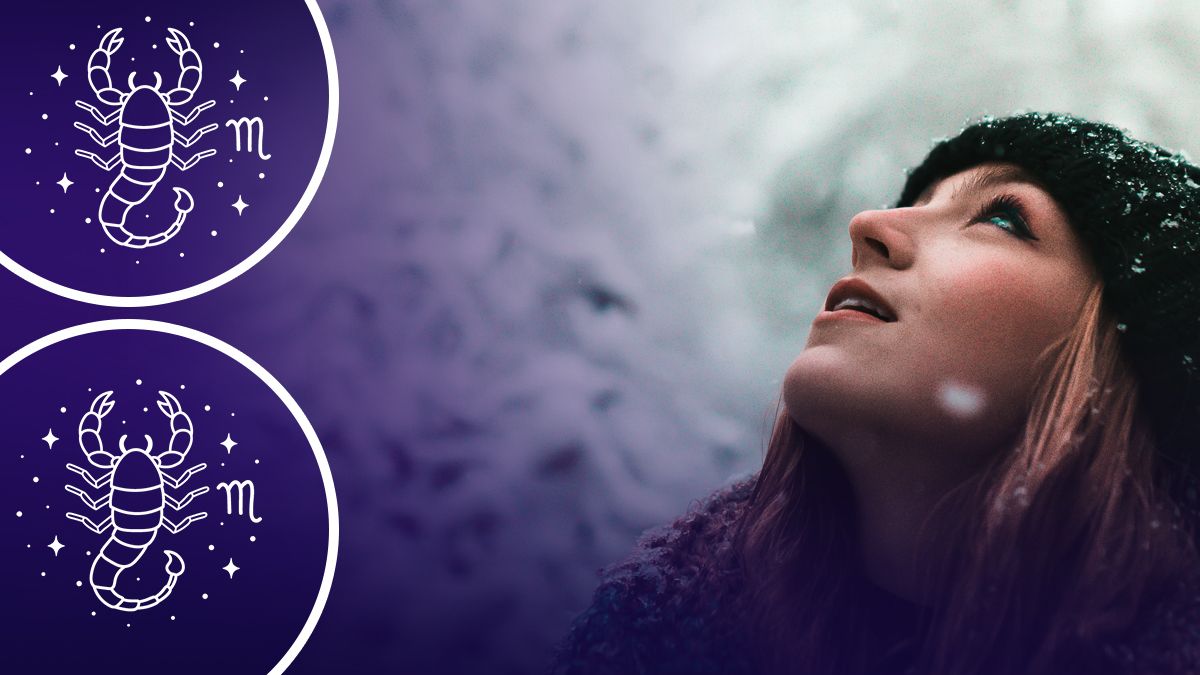 Кого ожидает сказочная зима