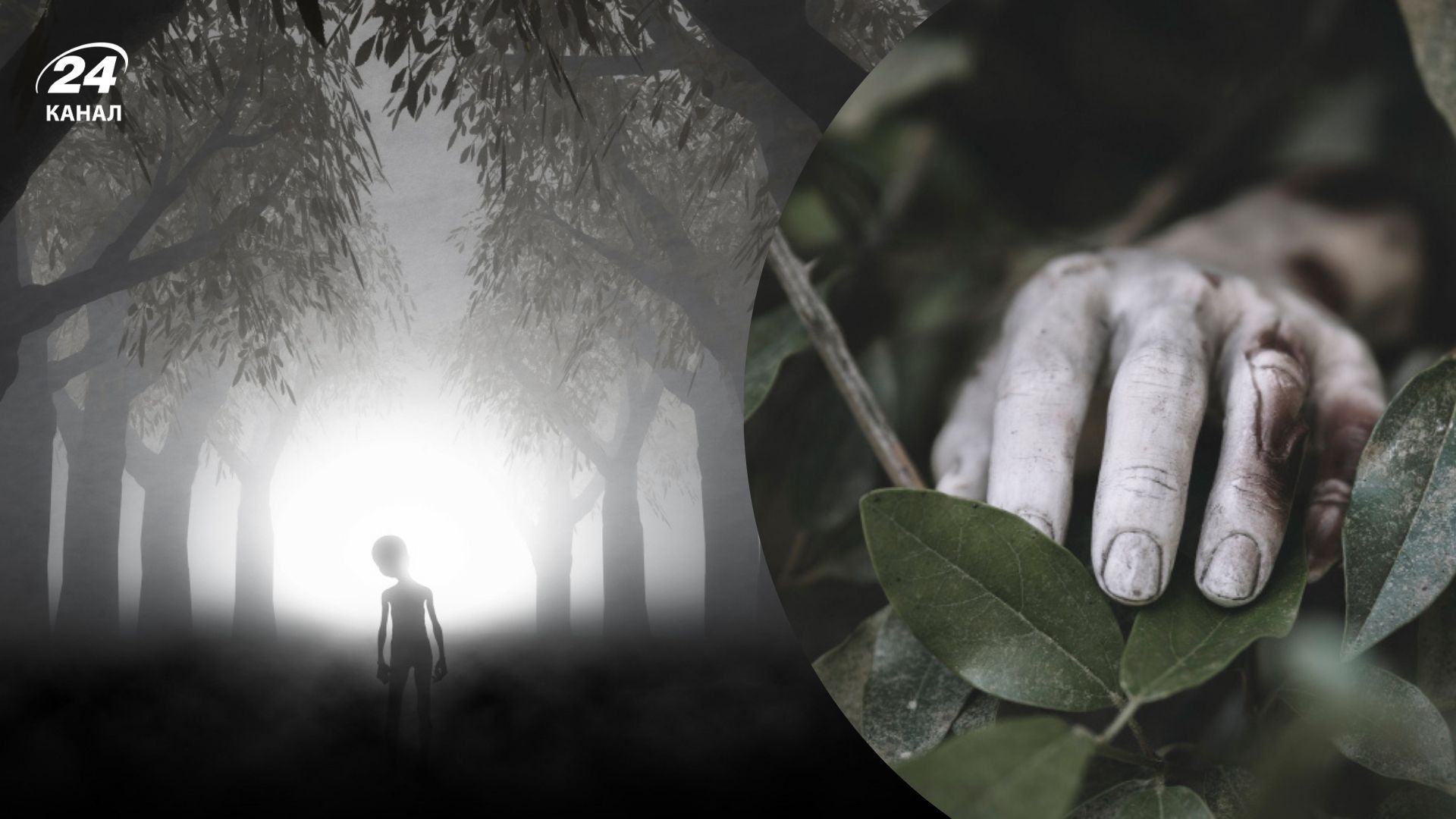 До чого сниться покійник живим