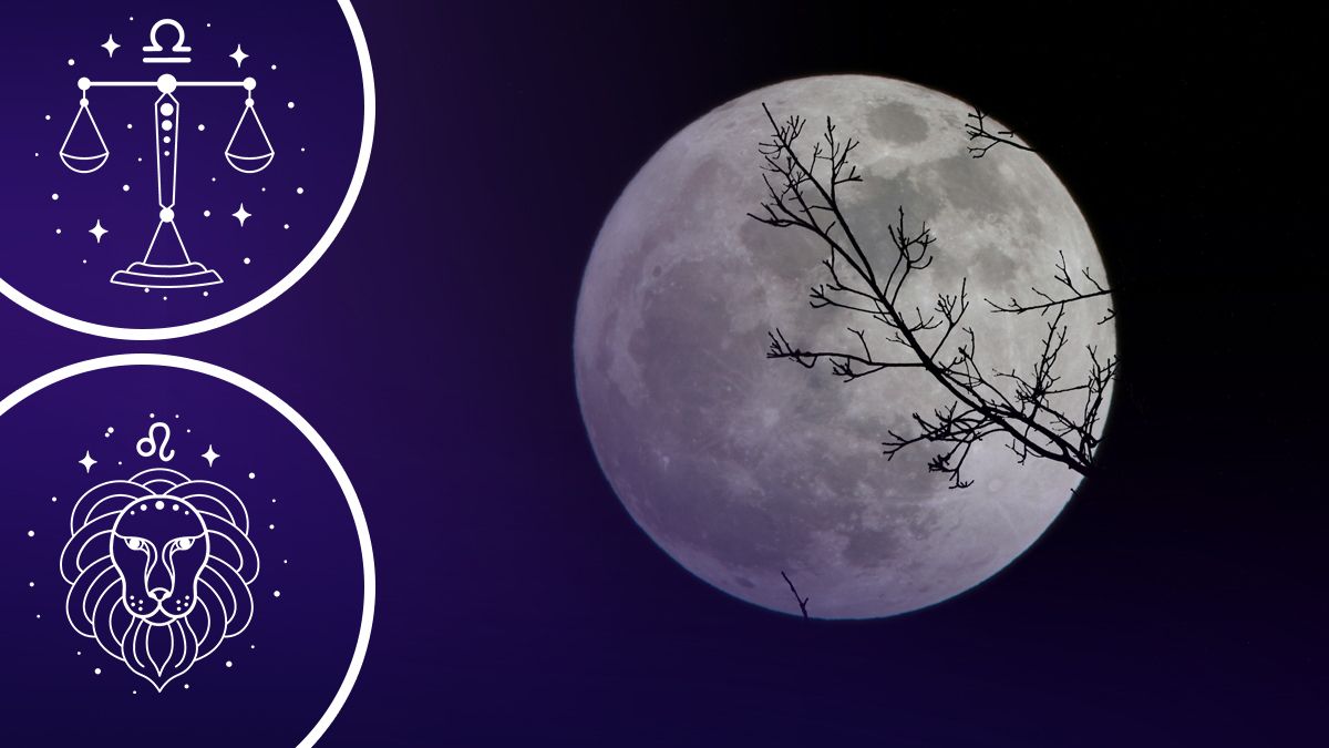 Кто услышит приятные новости Кто услышит приятные новости