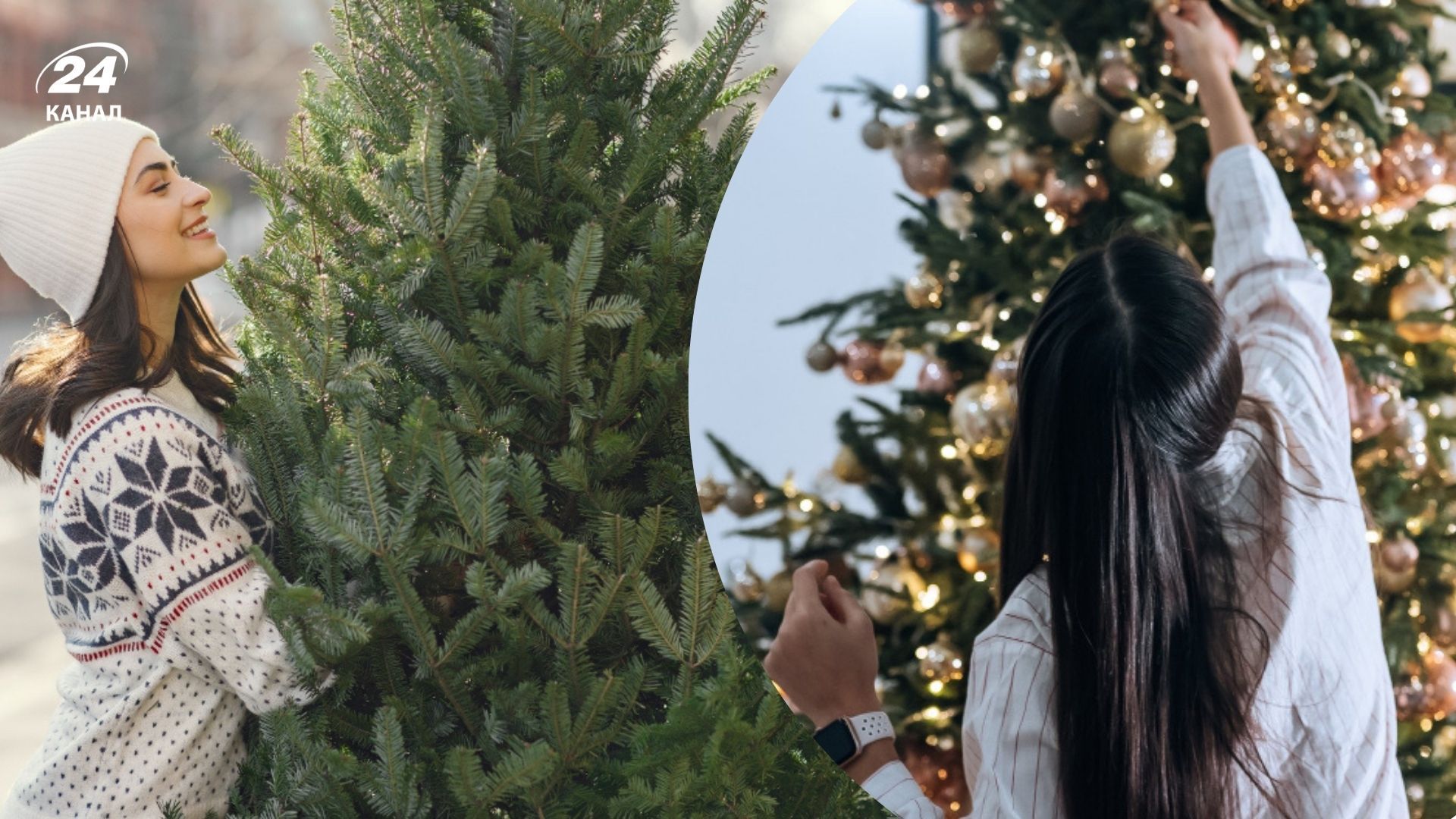 Коли не можна ставити ялинку