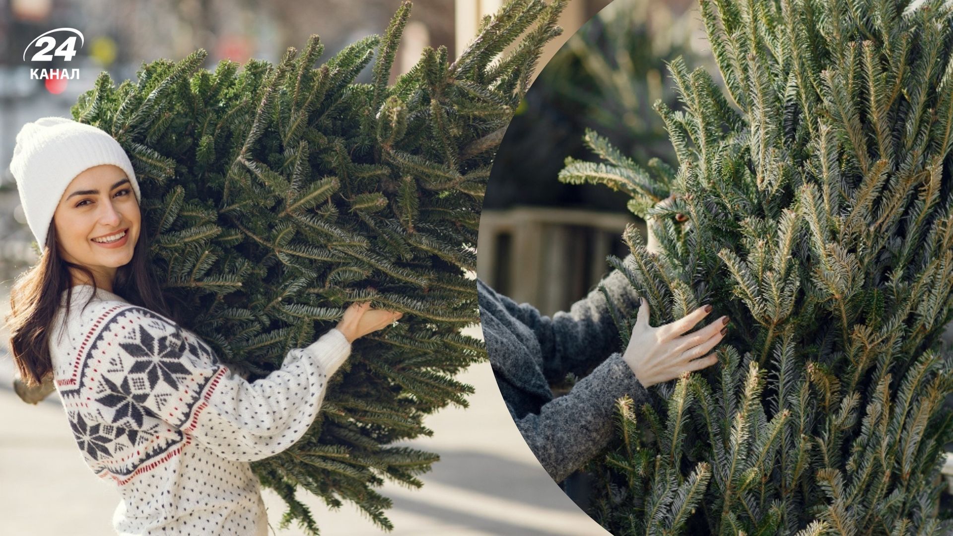 Що робити з ялинкою після свят Що робити з ялинкою після свят
