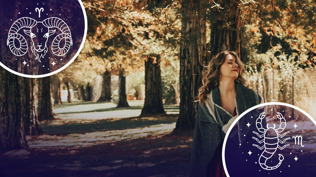 Гороскоп на 2026 год