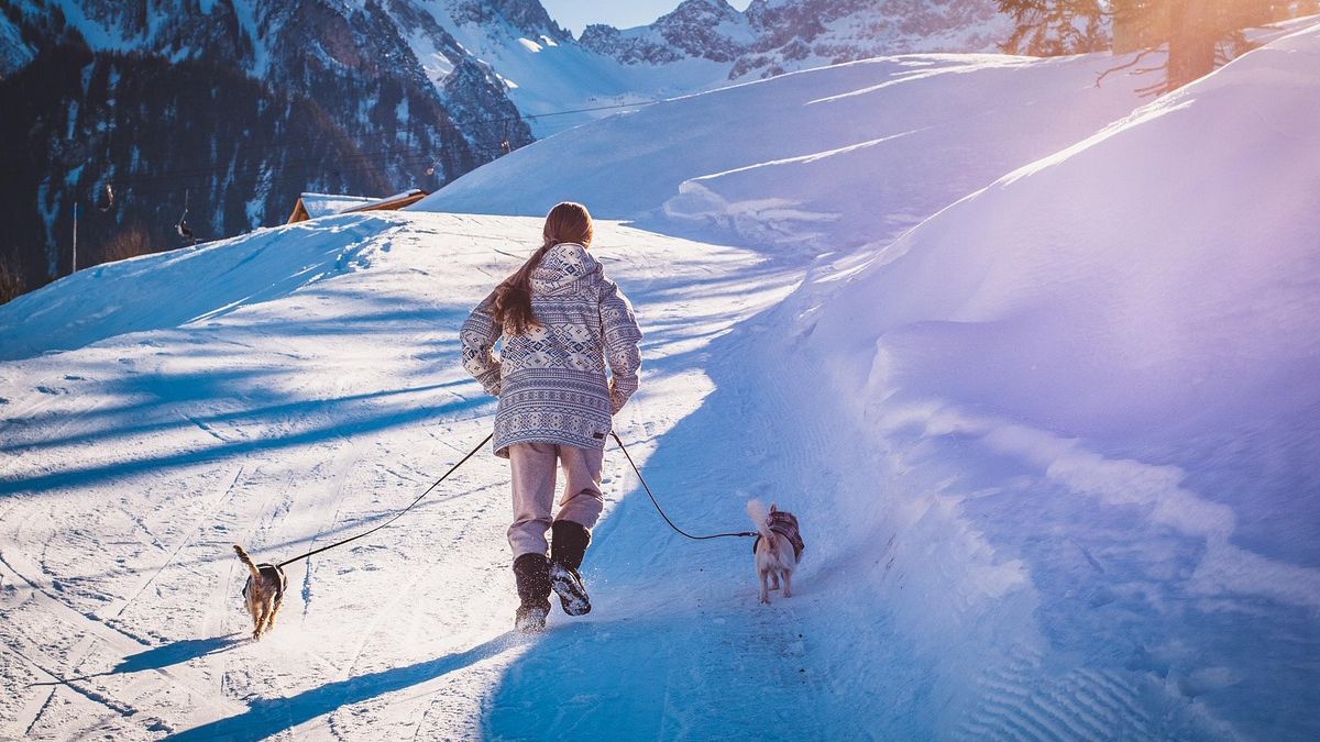 Гороскоп на январь