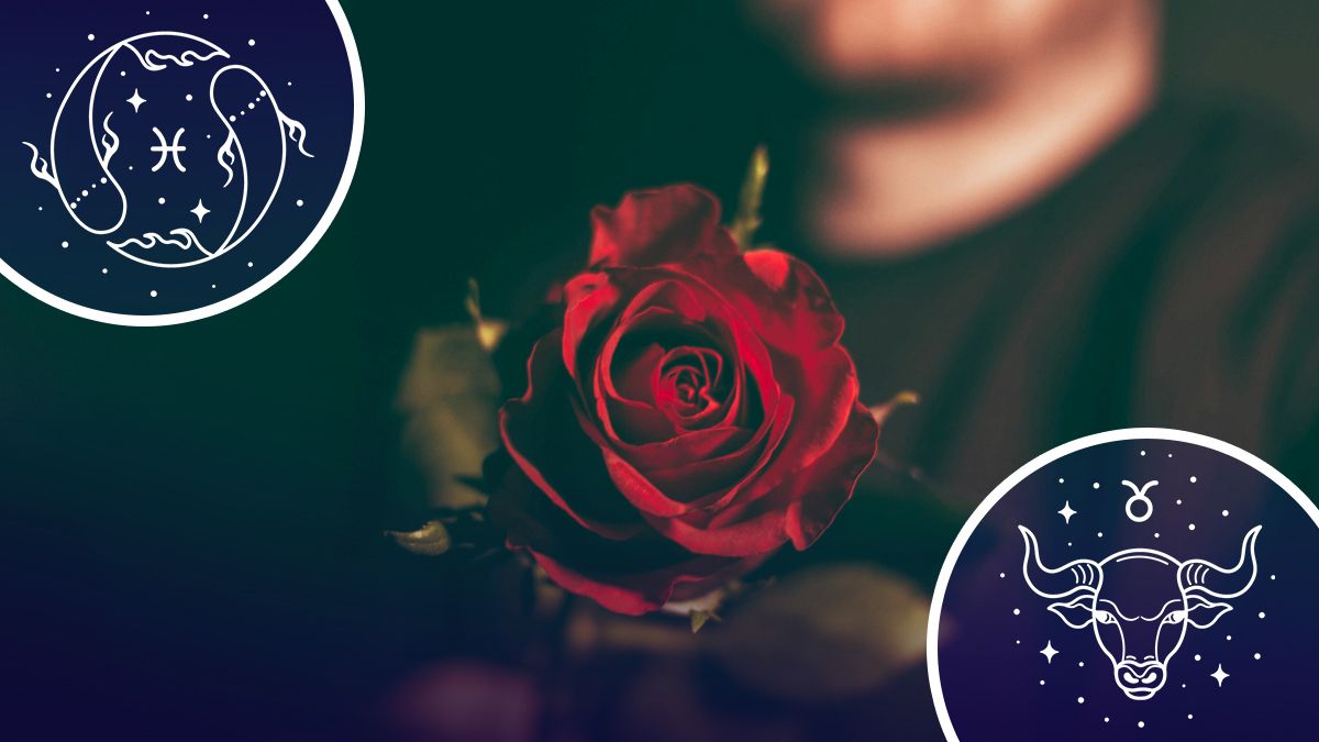 Які знаки зодіаку є справжніми романтиками