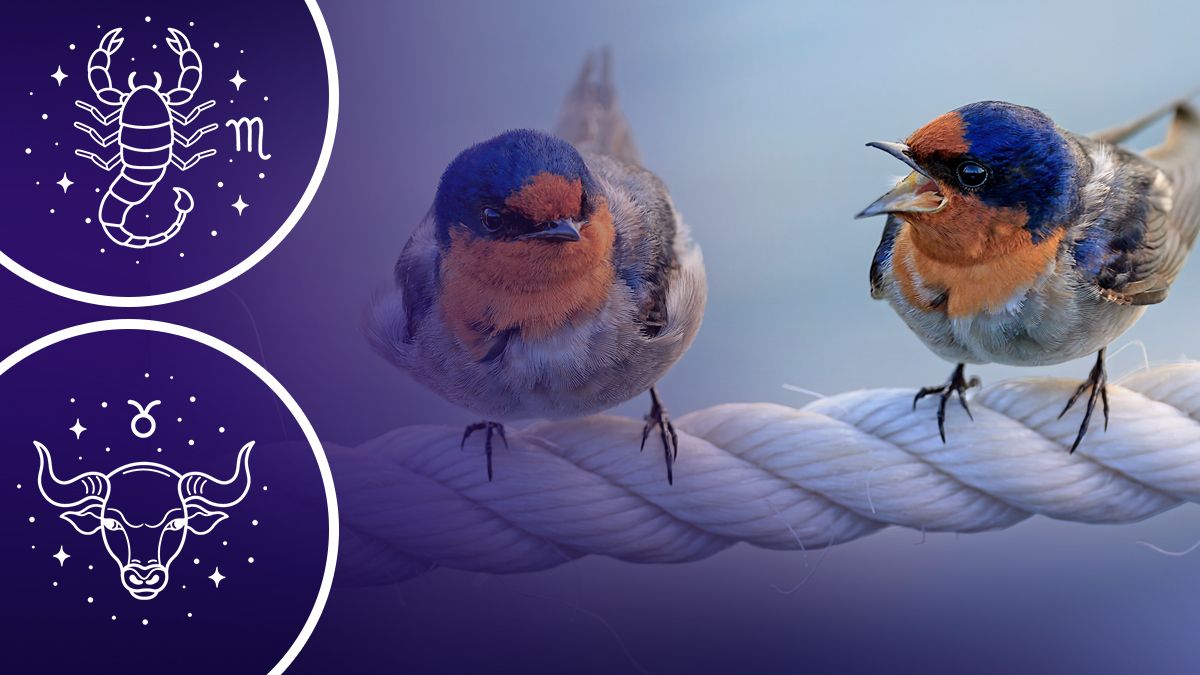 Кто скоро поссорится со второй половинкой