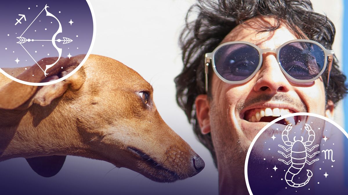 Яким знакам зодіаку скоро казково пощастить Яким знакам зодіаку скоро казково пощастить