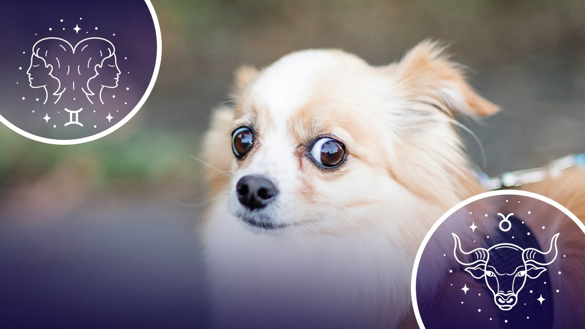 Гороскоп на весну