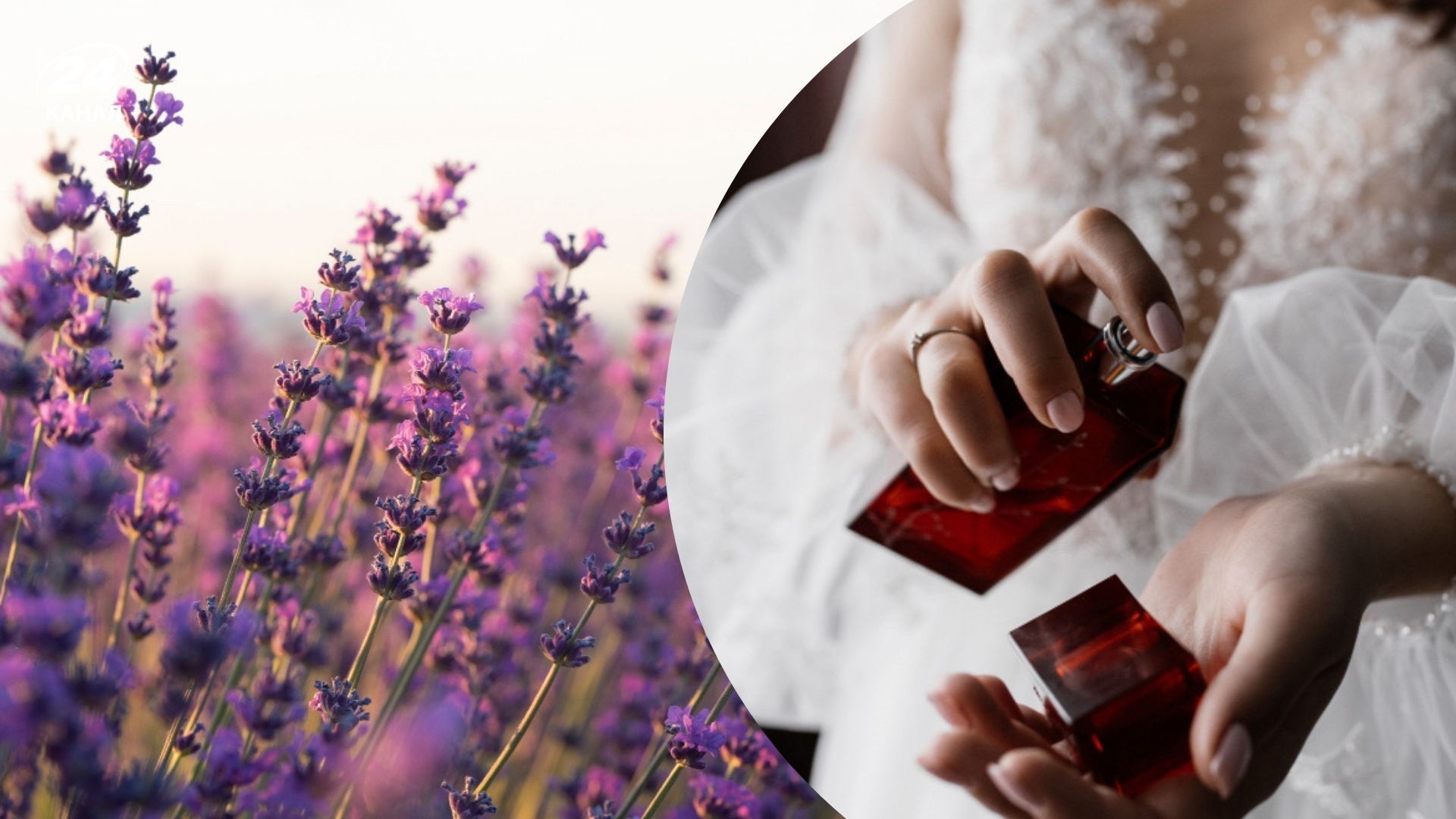 Духи с лавандой 2026