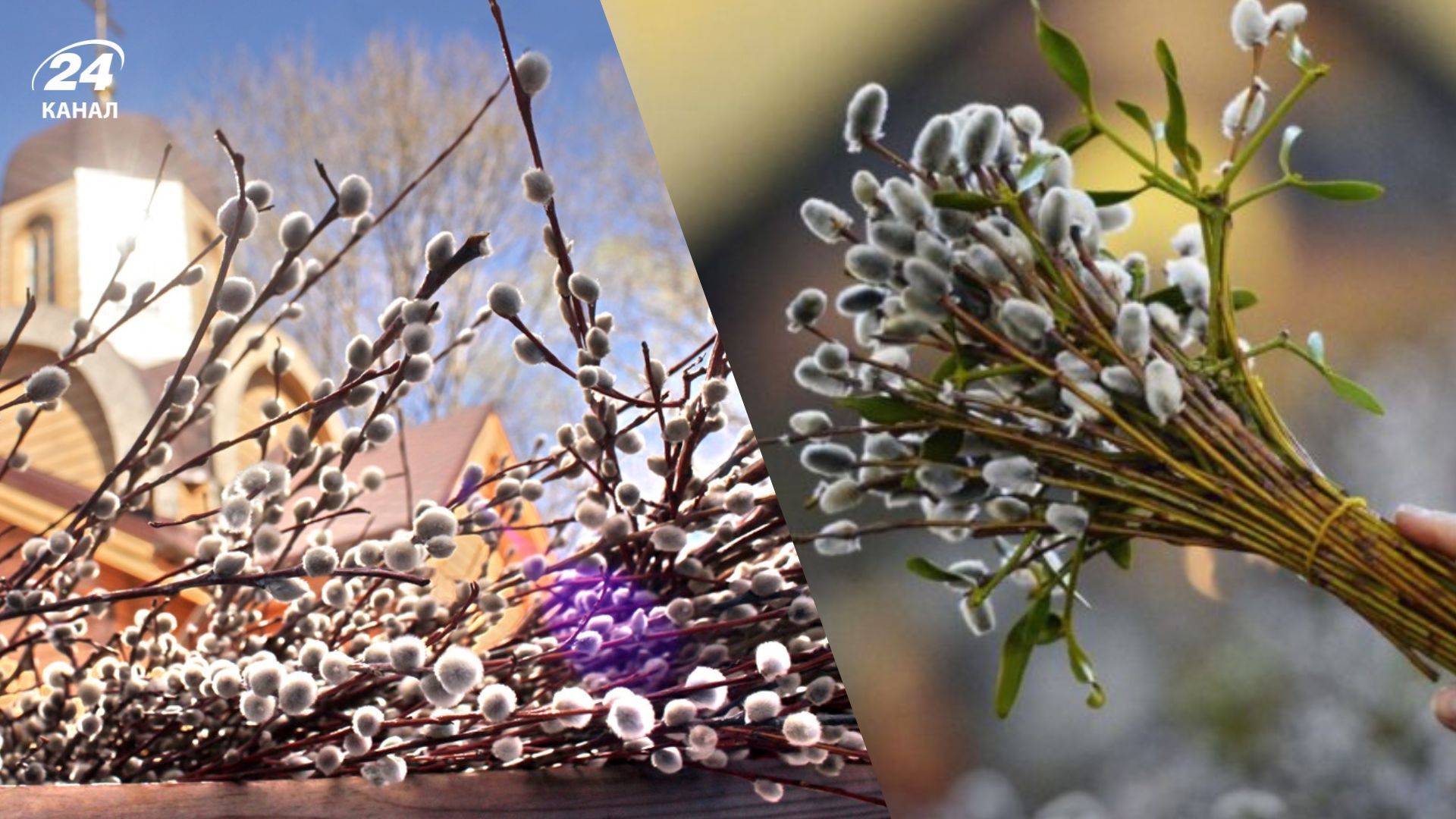 Что делать с вербой после Вербного воскресенья