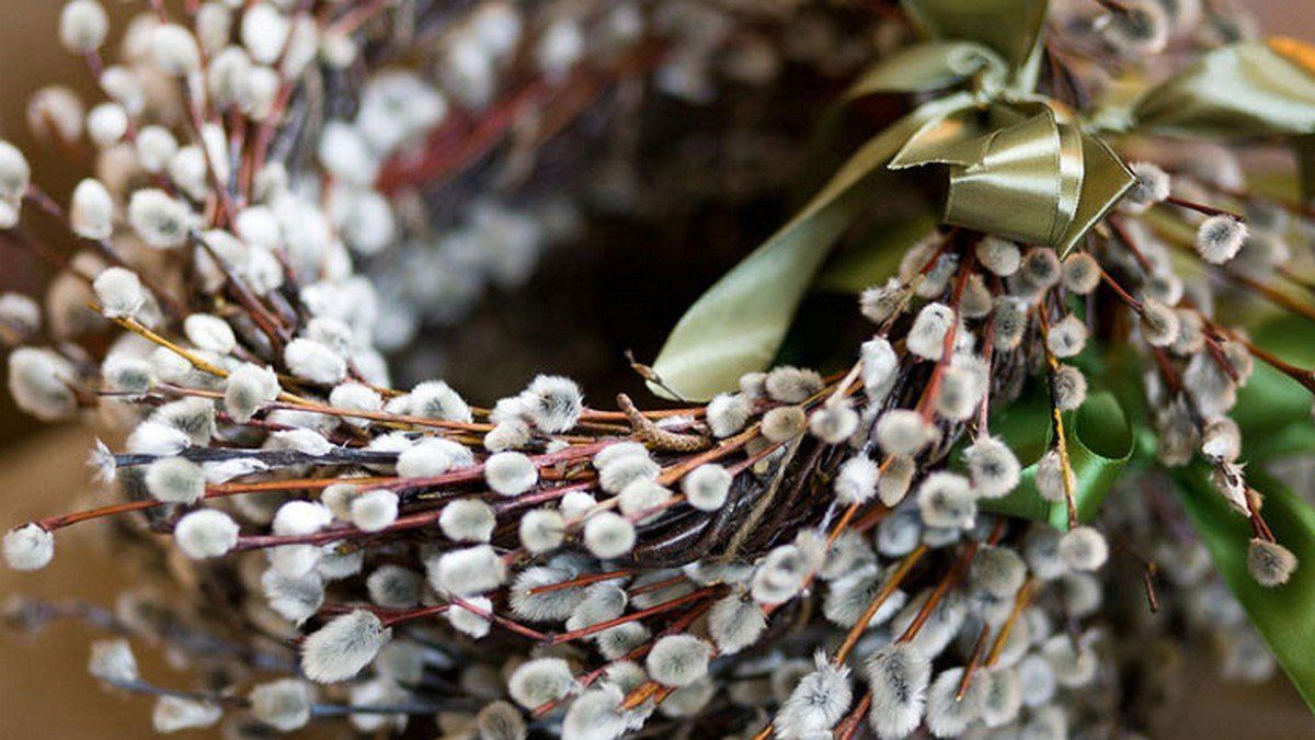 Чи можна освячувати стару вербу з минулого року Чи можна освячувати стару вербу з минулого року