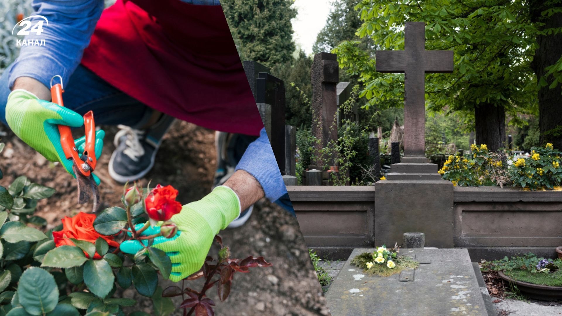 Чи можна пересаджувати квіти з дому на цвинтар