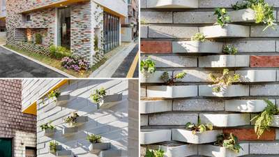Дивовижний фасад: як виглядають цеглини, призначені для рослин
